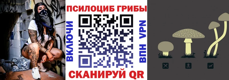 хочу наркоту Невельск это наркотические препараты Галлюциногенные грибы Psilocybe KRAKEN ONION