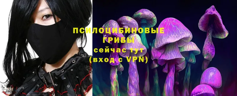 Галлюциногенные грибы MAGIC MUSHROOMS  Невельск 